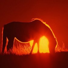 Схема вышивки «Лошадь на Закате»