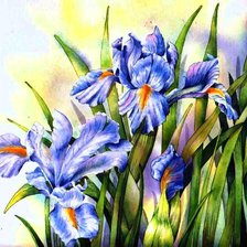 Схема вышивки «пано ирисы»