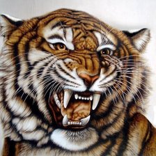 Схема вышивки «тигр»