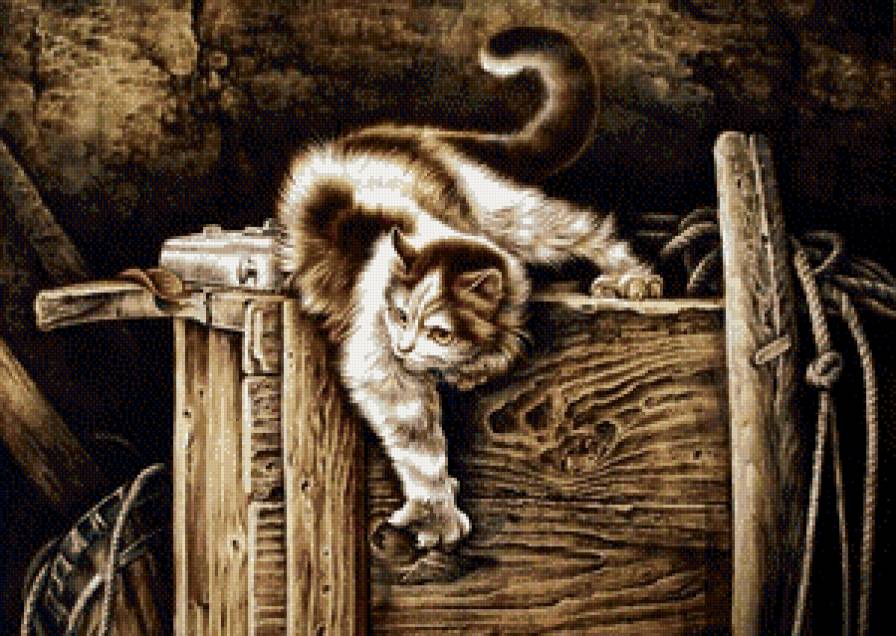 кошка - природа, кошки, хищники, животные - предпросмотр