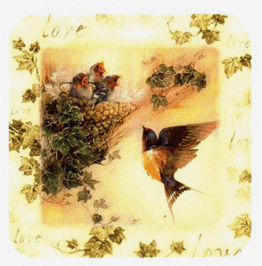 ласточкино гнездо - природа, пано, птицы - предпросмотр