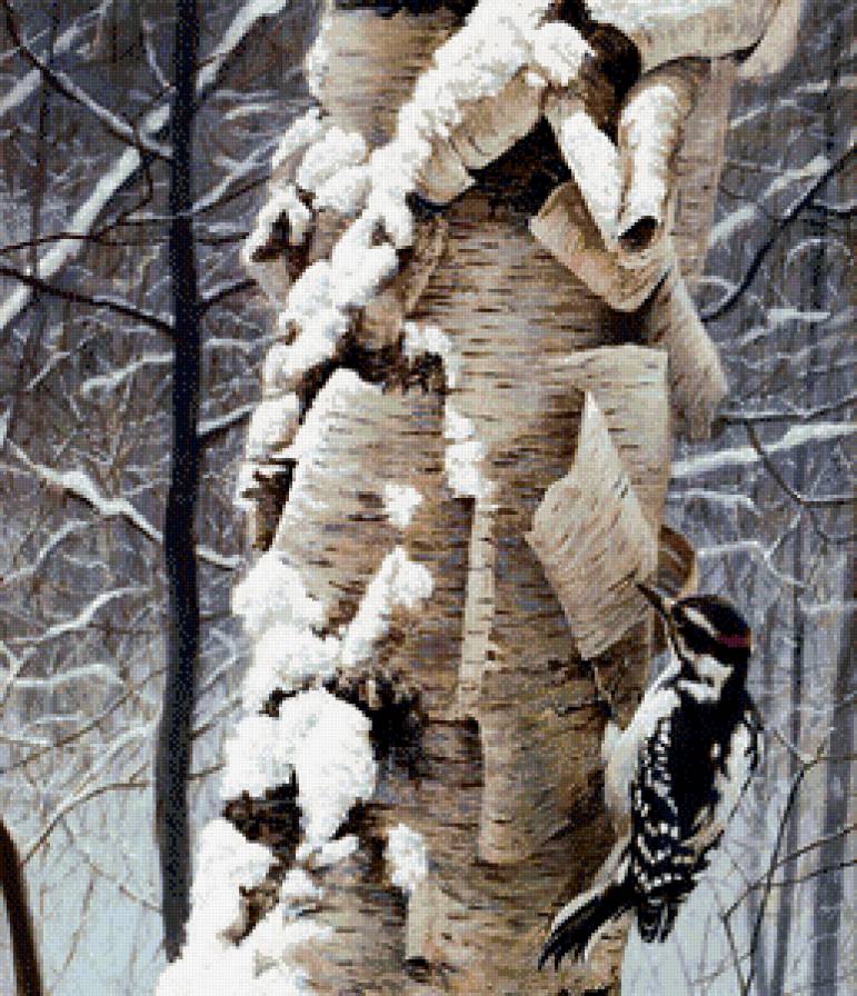 пано птица - лес, снег, зима, береза, пано, птица - предпросмотр