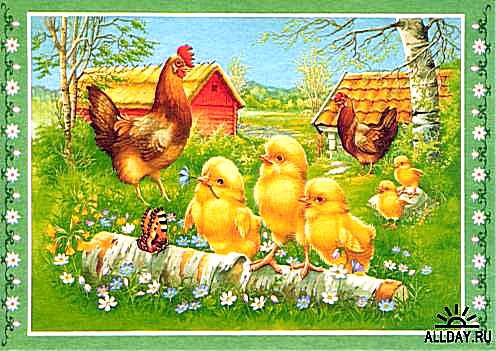Семейка - семья, птицы, курочка, петух, цыплята - оригинал