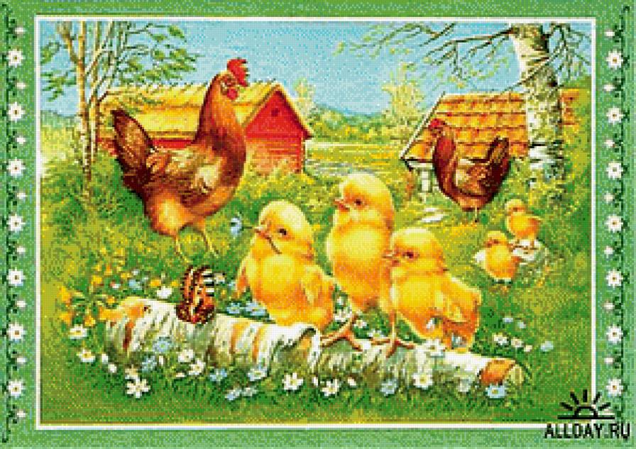 Семейка - курочка, петух, птицы, семья, цыплята - предпросмотр