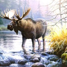 Схема вышивки «сохатый на водопое»