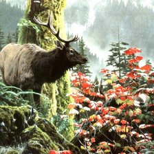 Схема вышивки «лесной олень»