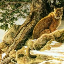 Схема вышивки «дикие кошки»