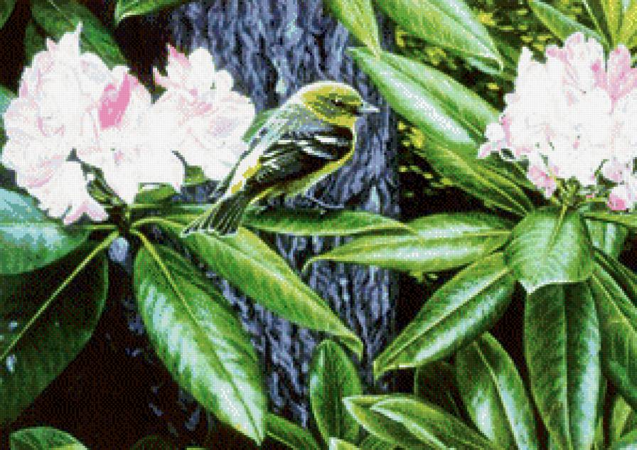 птица на ветке - природа, птицы, цветы - предпросмотр