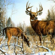 Схема вышивки «олени»