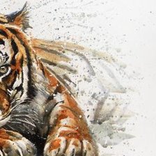 Схема вышивки «Тигр акварель ч.2»