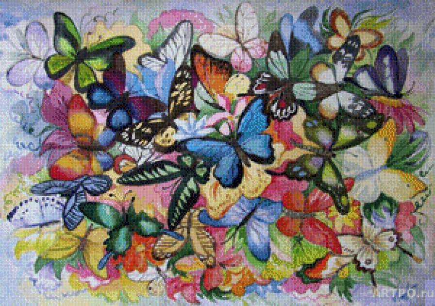 Букет из бабочек - бабочки - предпросмотр