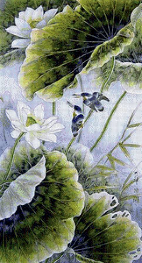 пано лотосы - цветы, лотосы, птицы, природа, пано - предпросмотр