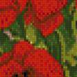 Предпросмотр схемы вышивки «маки» (№562909)