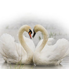 Схема вышивки «лебеди»