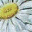 Предпросмотр схемы вышивки «ромашки» (№562946)
