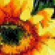 Предпросмотр схемы вышивки «подсолнухи» (№562970)