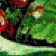Предпросмотр схемы вышивки «земляника» (№563001)