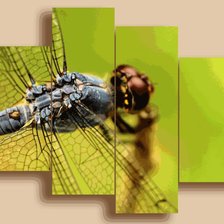 Схема вышивки «№563002»