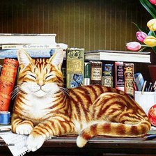 любитель книг