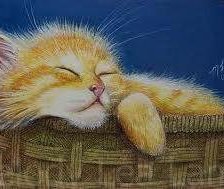 Схема вышивки «сплю»