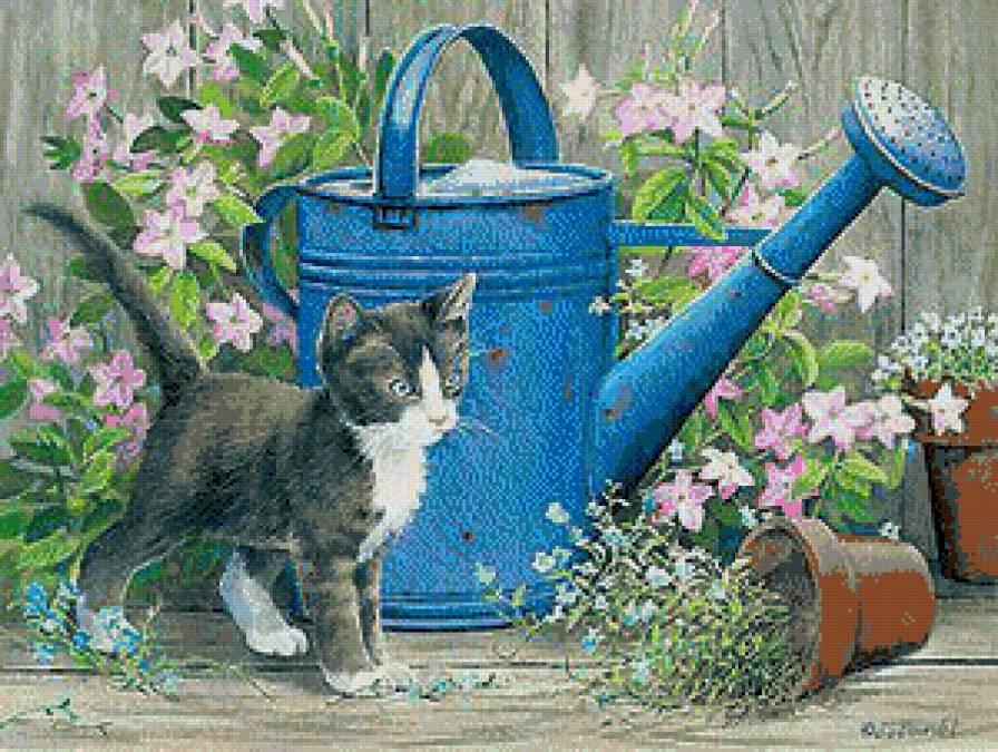 шалун - котики - предпросмотр