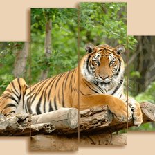 Схема вышивки «№563098»