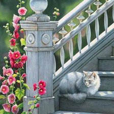 на ступеньках