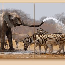 Схема вышивки «№563107»