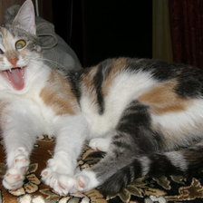 Схема вышивки «Зеваем»