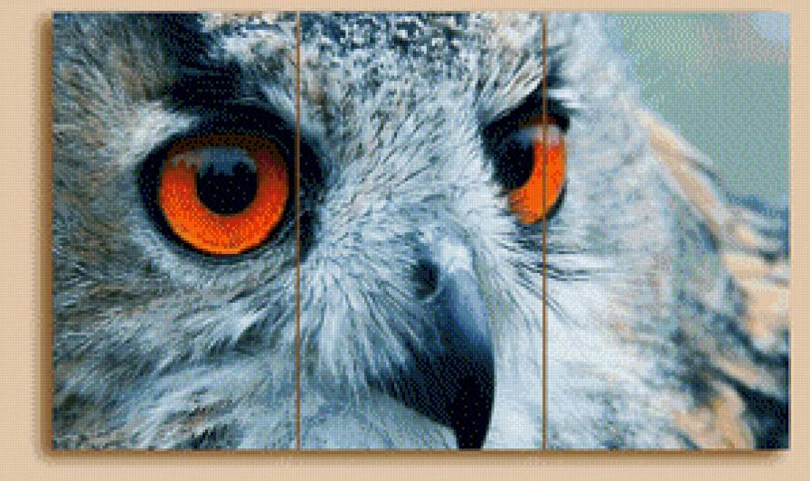 №563115 - птица, филин, триптих, сова - предпросмотр