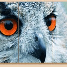 Схема вышивки «№563115»