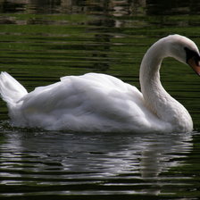 Схема вышивки «Лебедь»
