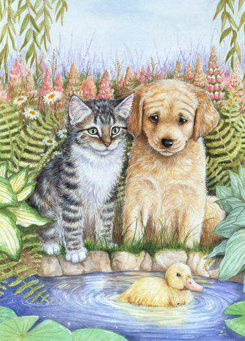 учитель плавания - котики - оригинал