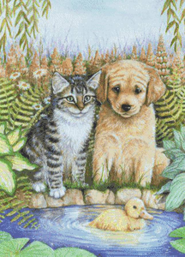 учитель плавания - котики - предпросмотр