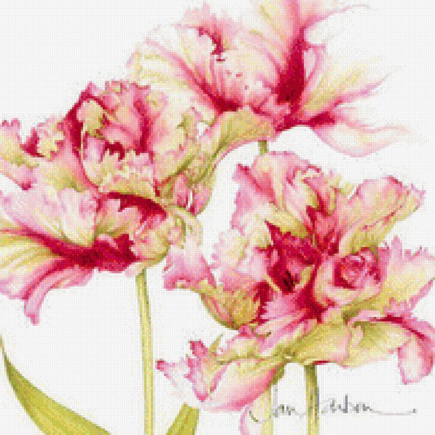 Тюльпаны - тюльпаны, красный, цветы - предпросмотр