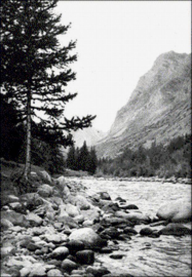 Монохром - монохром, природа - предпросмотр