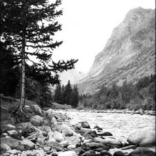 Схема вышивки «Монохром»