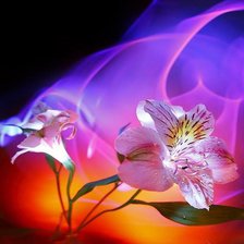 Схема вышивки «цветочная фантазия»