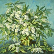 Схема вышивки «белая серень»