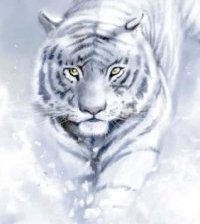 Схема вышивки «Тигр»