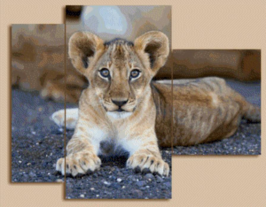 №563621 - львенок, триптих - предпросмотр