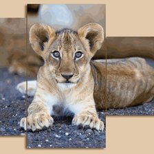 Схема вышивки «№563621»