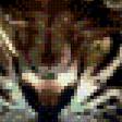 Предпросмотр схемы вышивки «Тигр в засаде» (№563661)