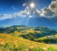 Альпийский луг