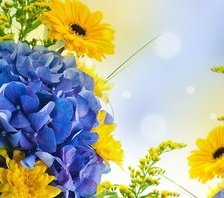 Цветочное чудо