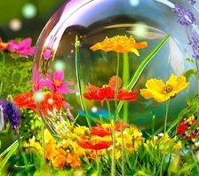 Схема вышивки «Луговые цветы»