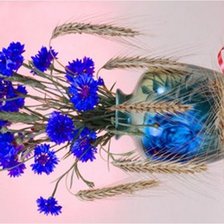 Схема вышивки «васильки колоски))»