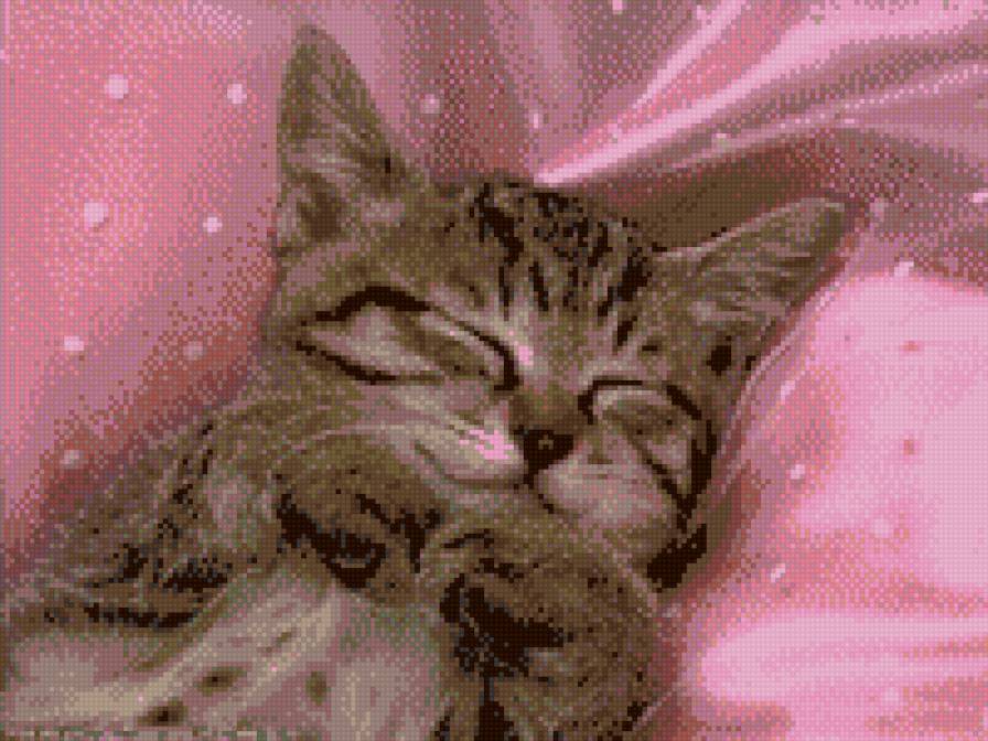 котёнок - предпросмотр