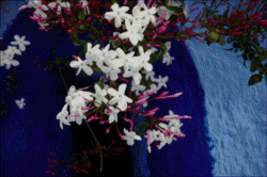 белые цветочки - цветы, ярко - предпросмотр