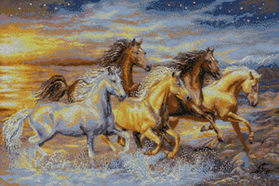 лошади - вода, лошади, бег - предпросмотр